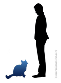 le chat et l'homme