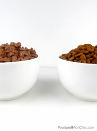 une gamelle de pâtée et une gamelle de croquettes pour chat